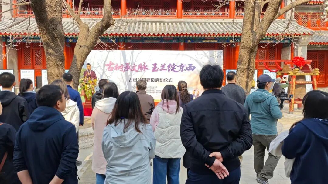 640 - 2026-04-02T160753.269.jpg