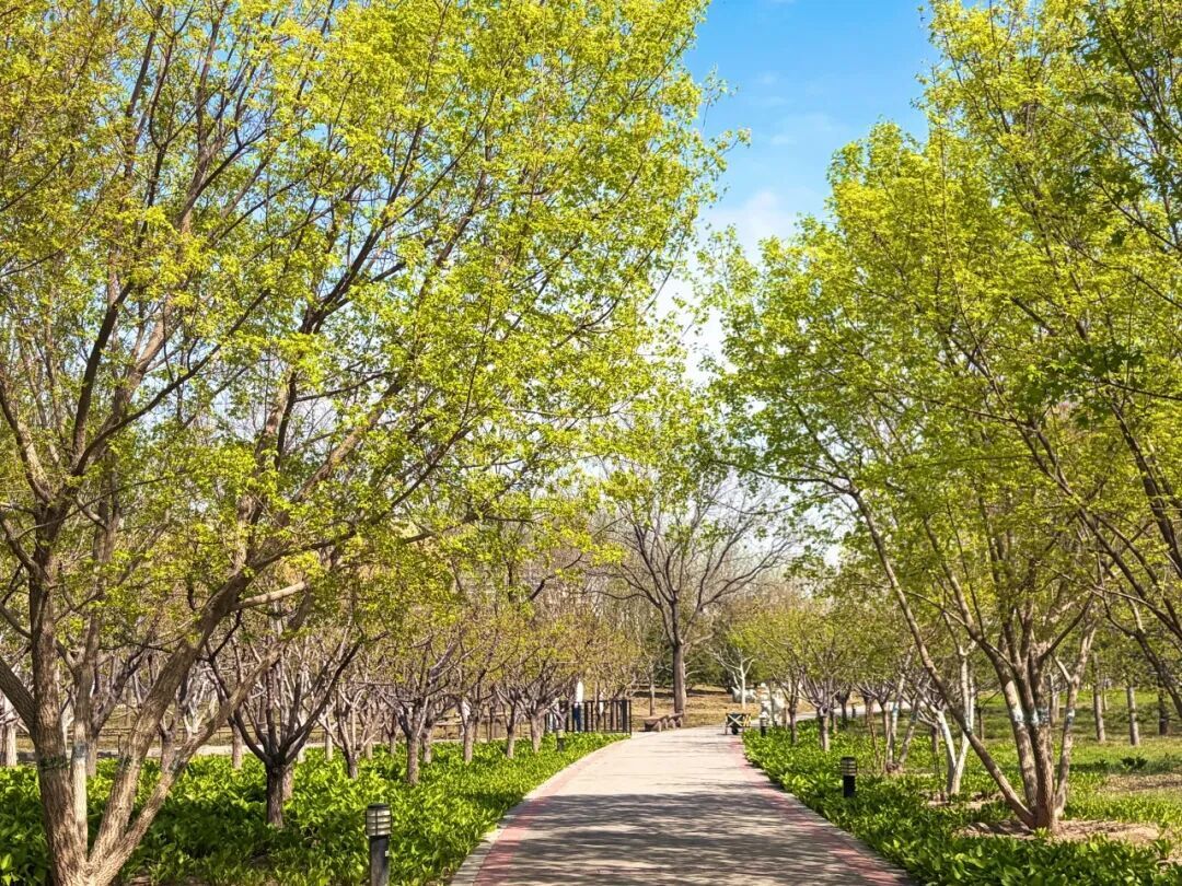 640 - 2026-04-16T111242.845.jpg