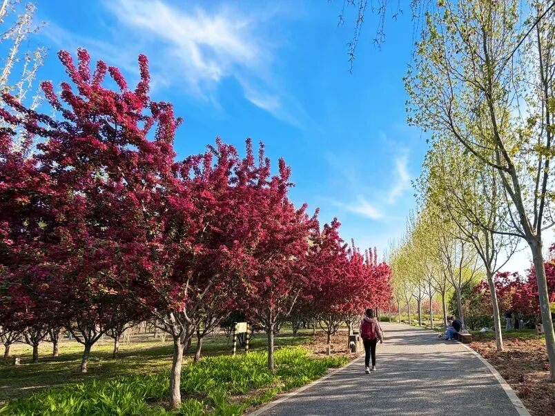 640 - 2026-04-16T111249.564.jpg