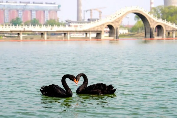 640 - 2026-04-16T150818.359.jpg