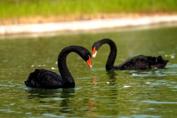 640 - 2026-04-16T150823.850.jpg