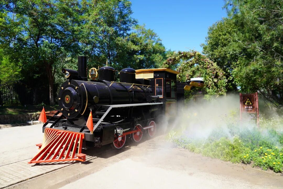 640 (72).jpg